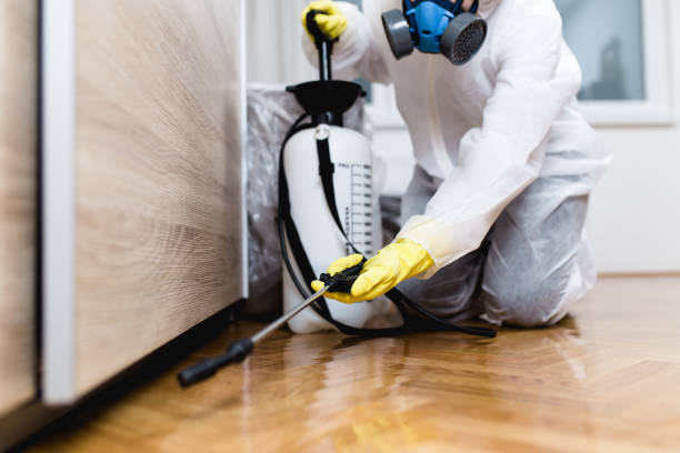 Best Pest Prevention Services  in San Jose, CA