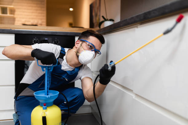 Best Flea Control Services  in San Jose, CA
