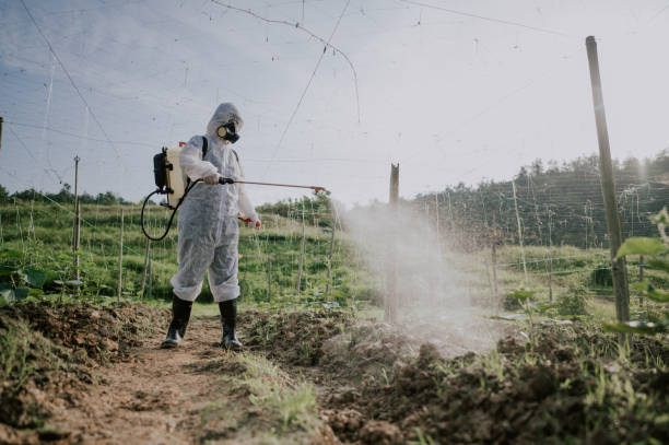 Best Pest Control for Homes  in San Jose, CA