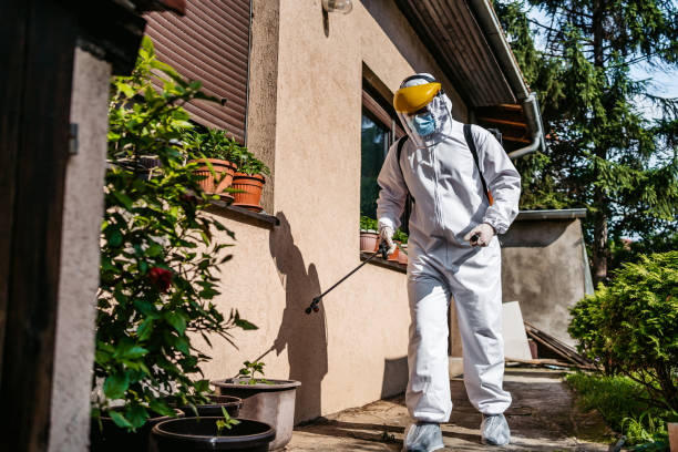 Trusted San Jose, CA Pest Control Experts