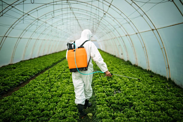 Best Wildlife Control Services  in San Jose, CA