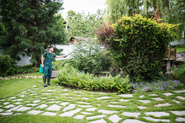 Best Mosquito Control Services  in San Jose, CA