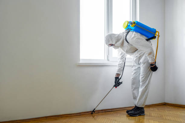 Best Pest Inspection Near Me  in San Jose, CA