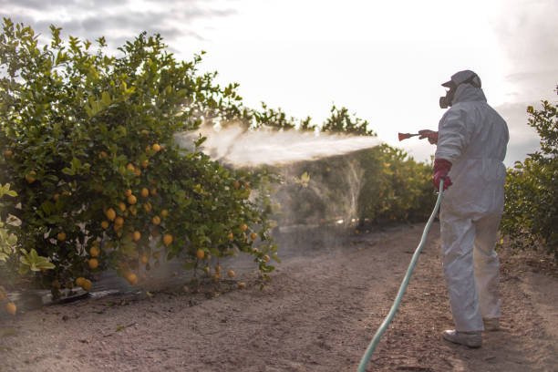 Pest Control Cost in San Jose, CA