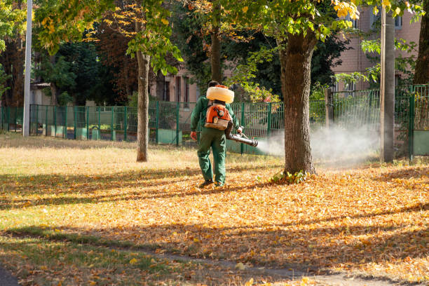 Best Termite Control Services  in San Jose, CA