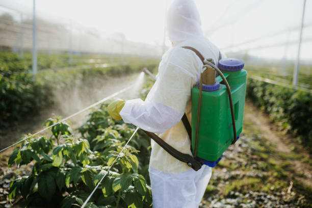 Best Rat Extermination Near Me  in San Jose, CA